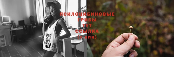 мяу мяу мука Аркадак