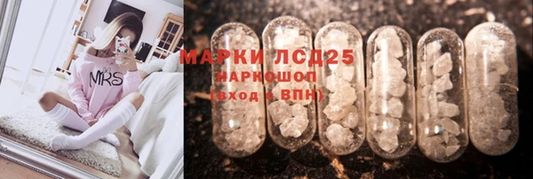 мяу мяу мука Аркадак