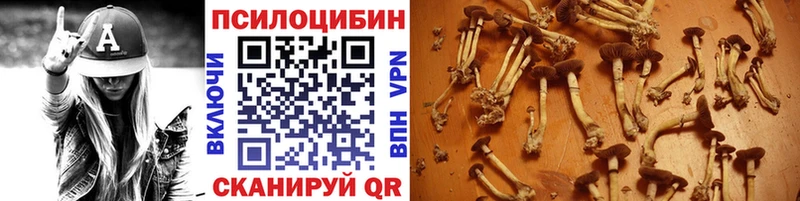 дарнет шоп  Шадринск  Галлюциногенные грибы MAGIC MUSHROOMS 