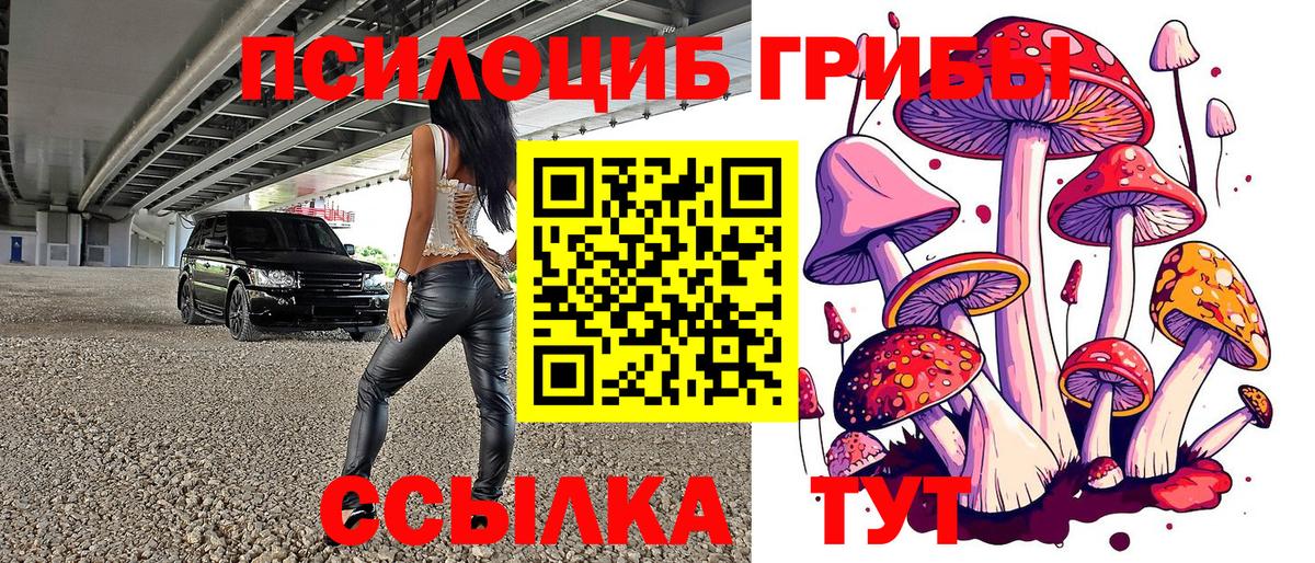 Шадринск  Псилоцибиновые грибы ЛСД  Вход с VPN 